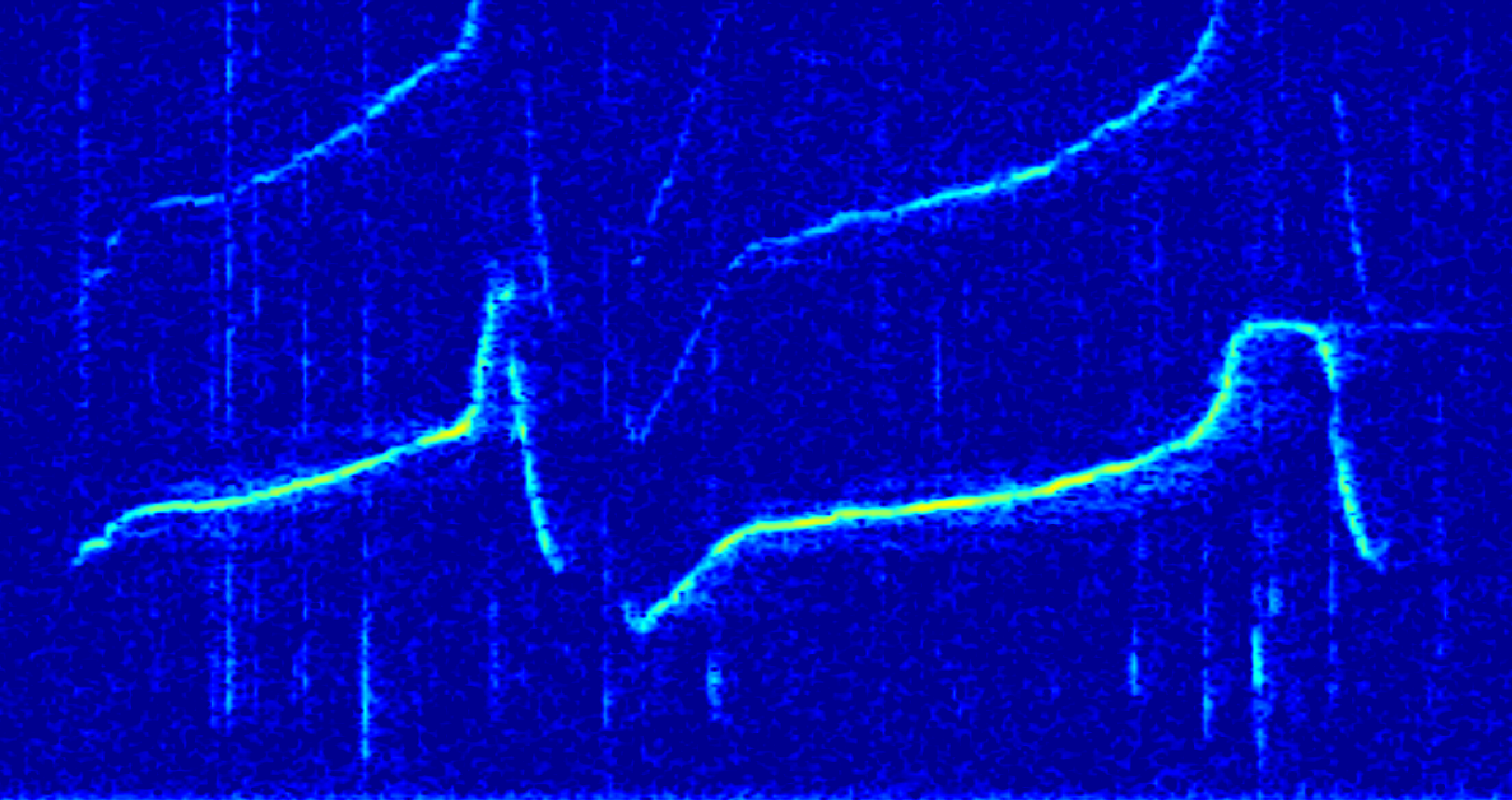 Dolphin signature whistle spectrogram