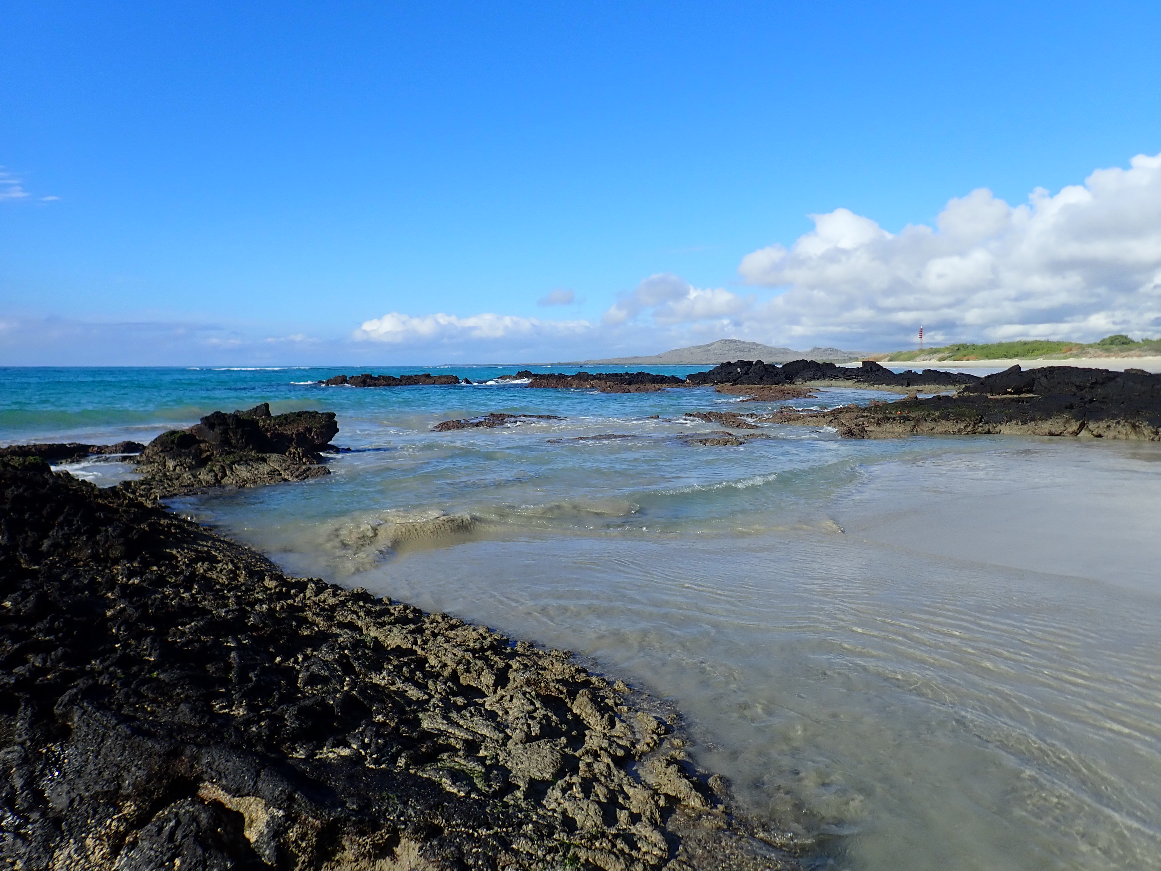 Isabela Island, Galapagos