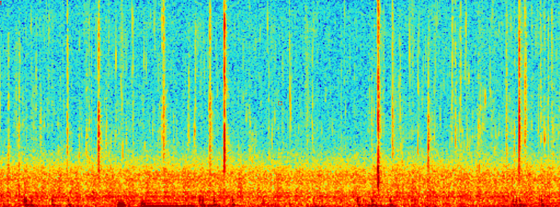 Multi-species fish chorus spectrogram