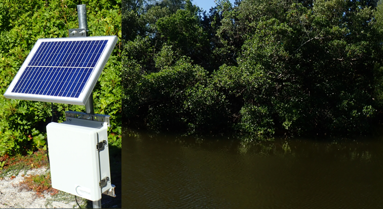 Solar-powered PALS station on Tidy Island
